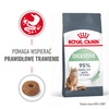 Royal Canin Digestive Care 4kg Karma Sucha Dla Kotów Dorosłych Wspomagająca Przebieg Trawienia