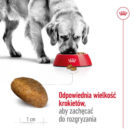 Royal Canin Adult Maxi BF 15kg Zbilansowana Sucha Karma Dla Psów Dużych Ras Do 5 Roku Życia