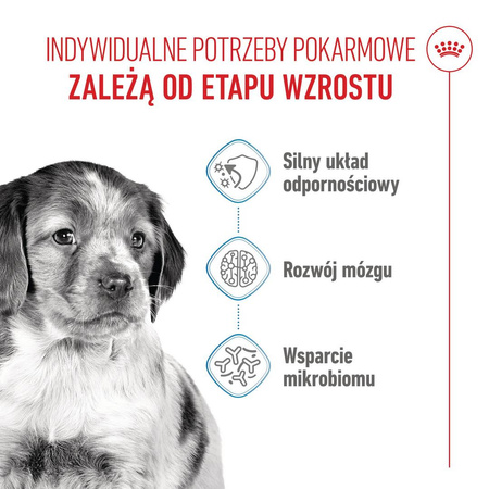Royal Canin SHN Medium Puppy 15kg Karma Sucha Dla Szczeniąt Od 2 Do 12 Miesiąca Ras Średnich