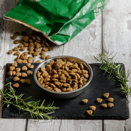 James Wellbeloved Senior 2kg Sucha Karma Dla Starszych Psów Bogata W Indyka I Ryż