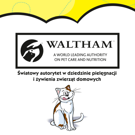 Dreamies Mega Pudełko Przysmak Dla Kota Chrupiące Paszteciki Z Nadzieniem Z Serem 2x350g