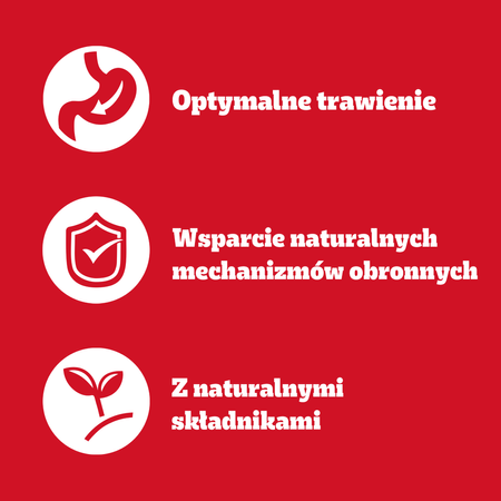 Pedigree Adult Wybór Smaków 4x100g Mokra Karma Dla Dorosłych Psów Kurczak Ryba W Galaretce