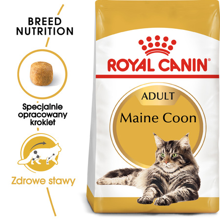 Royal Canin FBN Maine Coon Adult 2kg Karma Sucha Dla Kotów Dorosłych Rasy Maine Coon