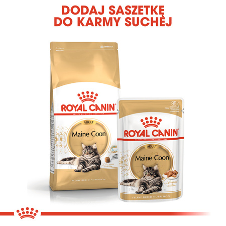 Royal Canin FBN Maine Coon Adult 10kg Karma Sucha Dla Kotów Dorosłych Rasy Maine Coon