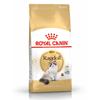 Royal Canin FBN Ragdol Adult 10kg Karma Sucha Dla Kotów Dorosłych Rasy Ragdoll