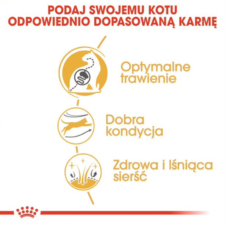 Royal Canin FBN Bengal Adult 2kg Karma Sucha Dla Kotów Dorosłych Rasy Bengalskiej Powyżej 12 Miesiąca Życia