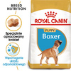 Royal Canin BHN Boxer Puppy 12kg Karma Sucha Dla Szczeniąt Do 15 Miesiąca Rasy Bokser