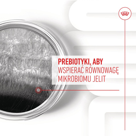 Royal Canin Supplements Dog Digestion Adult 160g Suplementy Dla Psów Dorosłych W Postaci Przysmaków Wspierające Prawidłowe Trawienie