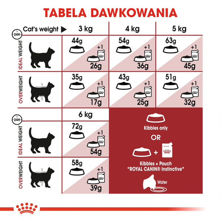 Royal Canin Regular Fit 32 Adult 2kg Karma Sucha Dla Kotów Dorosłych Wspierająca Idealną Kondycję
