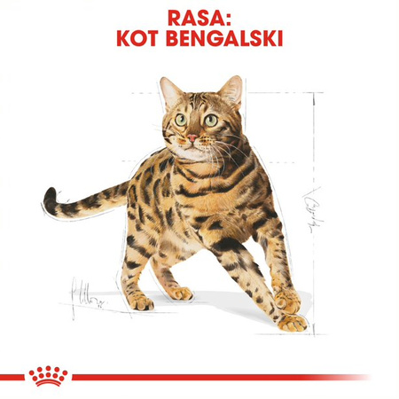 Royal Canin FBN Bengal Adult 2kg Karma Sucha Dla Kotów Dorosłych Rasy Bengalskiej Powyżej 12 Miesiąca Życia