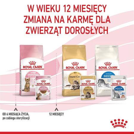 Royal Canin FHN Kitten Sterilised W Sosie 12x85g Karma Mokra Dla Kociąt Sterylizowanych Do 12 Miesiąca Życia