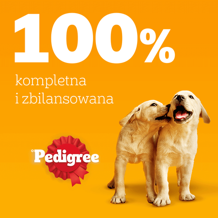 PEDIGREE Junior 24x400g z Kurczakiem w galaretce Zdrowy Start dla szczeniąt 1-12 miesięcy