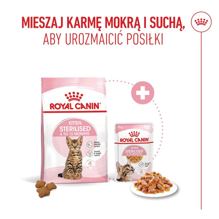 Royal Canin FHN Kitten Sterilised W Galaretce 12x85g Karma Mokra Dla Kociąt Sterylizowanych Do 12 Miesiąca Życia