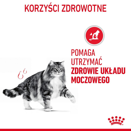 Royal Canin Urinary Care 4kg Karma Sucha Dla Kotów Dorosłych Ochrona Dolnych Dróg Moczowych