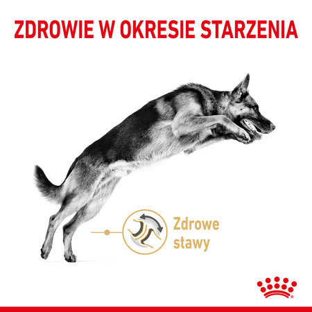 Royal Canin BHN German Shepherd Adult 5+ 12kg Karma Sucha Dla Dorosłych Psów Rasy Owczarek Niemiecki Powyżej 5 Roku Życia