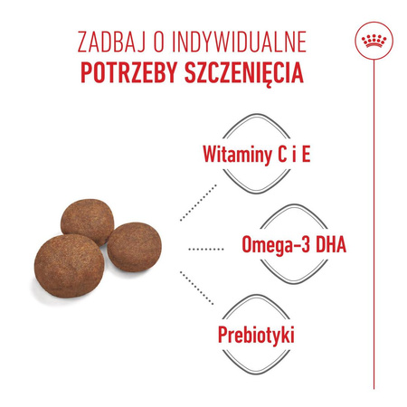 Royal Canin Shn Medium Puppy 4kg Karma Sucha Dla Szczeniąt Od 2 Do 12 Miesiąca Ras Średnich