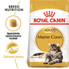 Royal Canin FBN Maine Coon Adult 2kg Karma Sucha Dla Kotów Dorosłych Rasy Maine Coon