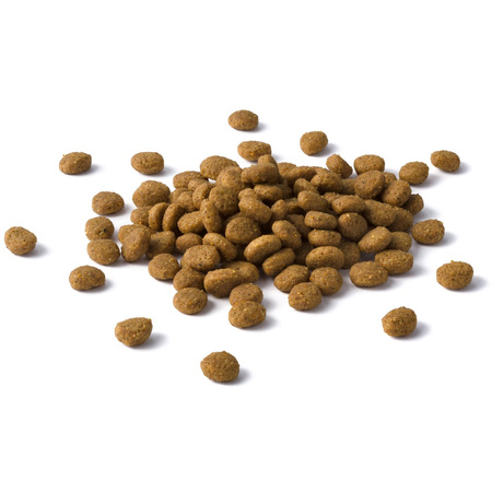 Purina Cat Chow Sterilised 1,5kg Sucha Karma Dla Kota Z Kurczakiem