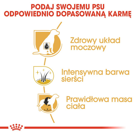 Royal Canin BHN Miniature Schnauzer Adult 7,5kg Karma Sucha Dla Psów Dorosłych Rasy Sznaucer Miniaturowy