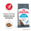 Royal Canin Urinary Care 10kg Karma Sucha Dla Kotów Dorosłych Ochrona Dolnych Dróg Moczowych