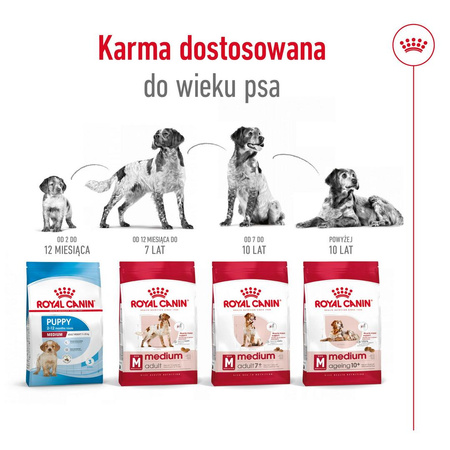 Royal Canin Medium Ageing 10+ 15kg Sucha Karma dla Psów Dojrzałych Powyżej 10 Roku Życia Średnich Ras
