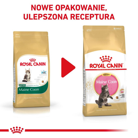 Royal Canin FBN Maine Coon Kitten 4kg Karma Sucha Dla Kociąt Do 15 Miesiąca Rasy Maine Coon