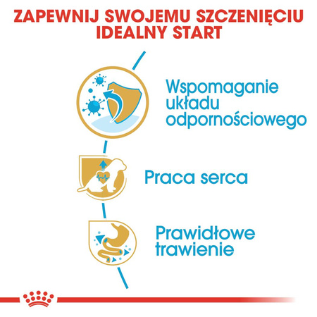 Royal Canin BHN Cavalier King Charles Spaniel Puppy 1,5kg Karma Sucha Dla Szczeniąt Do 10 Miesiąca Rasy Cavalier King Charles Spaniel