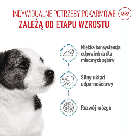 ROYAL CANIN SHN Mini Puppy 12x85g karma mokra w sosie dla szczeniąt do 10 miesiąca, ras małych