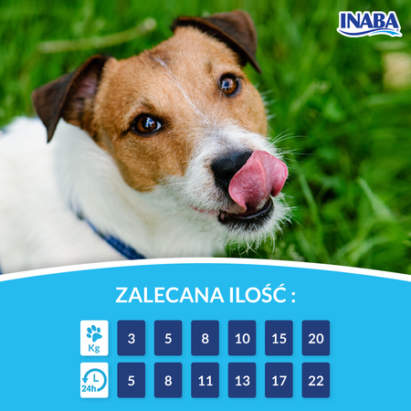 Inaba Dog Churu Przysmak Pasta Dla Psa 4x14g Łosoś z Warzywami