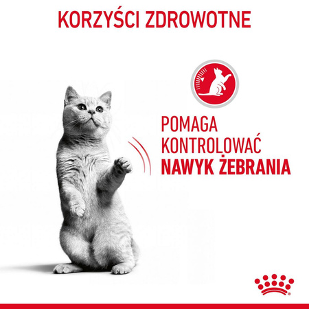 Royal Canin Appetite Control Care Karma Mokra W Sosie Dla Kotów Domagających Się Jedzenia 12x85g