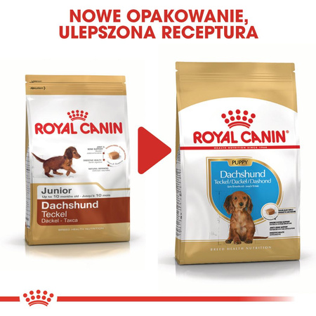 Royal Canin BHN Dachshund Puppy 1,5kg Karma Sucha Dla Szczeniąt Do 10 Miesiąca Rasy Jamnik