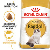 Royal Canin FBN Ragdol Adult 2kg Karma Sucha Dla Kotów Dorosłych Rasy Ragdoll