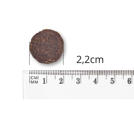 Baltica Adult L/XL 12kg Hipoalergiczna Sucha Karma Z Łososiem Dla Psów Dużych i Olbrzymich Ras