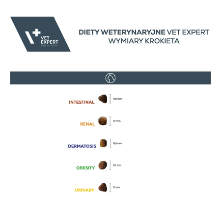 VetExpert Veterinary Diet Renal Cat 400g Sucha Weterynaryjna Karma Dla Kotów Z Niewydolnością Nerek