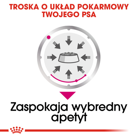Royal Canin CCN Exigent 12x85g Karma Mokra Pasztet Dla Wybrednych Psów Dorosłych