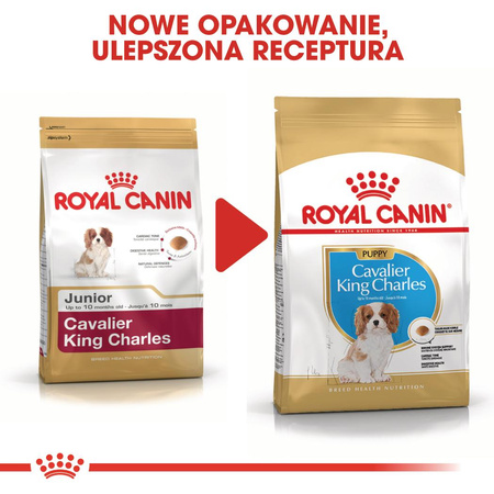 Royal Canin BHN Cavalier King Charles Spaniel Puppy 1,5kg Karma Sucha Dla Szczeniąt Do 10 Miesiąca Rasy Cavalier King Charles Spaniel