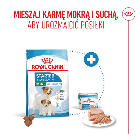 Royal Canin Mini Starter Mother & Babydog 4kg Karma Sucha Dla Suk W Ciąży I Okresie Laktacji Oraz Szczeniąt Ras Małych