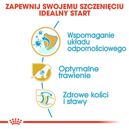 Royal Canin BHN German Shepherd Puppy 12kg Karma Sucha Dla Szczeniąt Do 15 Miesiąca Rasy Owczarek Niemiecki