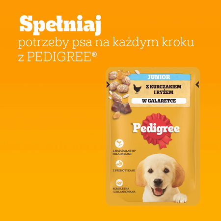 Pedigree Junior Saszetka 24x100g Mokra Karma Dla Psa Kawałki Bogate W Kurczaka W Galaretce