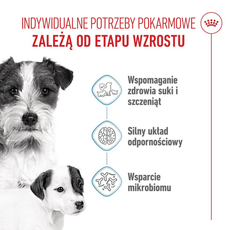Royal Canin Mini Starter Mother & Babydog 8kg Karma Sucha Dla Suk W Ciąży I Okresie Laktacji Oraz Szczeniąt Ras Małych