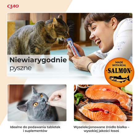 Inaba Cat Churu Salmon Recipe 4x14g (56g) Kremowy Przysmak Dla Kota Pasta z Łososiem