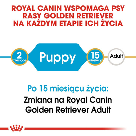 Royal Canin BHN Golden Retriever Puppy 12kg Karma Sucha Dla Szczeniąt Do 15 Miesiąca Rasy Golden Retriever