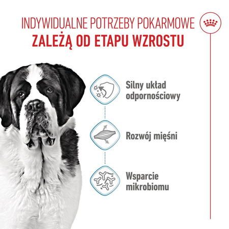 Royal Canin SHN Giant Junior 15kg Karma Sucha Dla Szczeniąt Od 8 Do 18/24 Miesiąca Życia Ras Olbrzymich