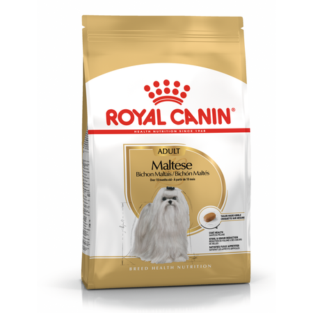 Royal Canin BHN Maltese Adult 1,5kg Karma Sucha Dla Psów Dorosłych Rasy Maltańczyk