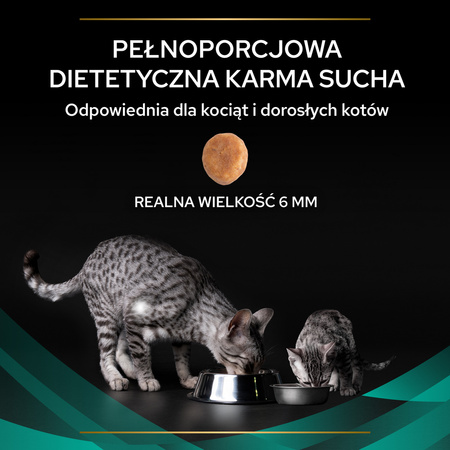 Purina Pro Plan Veterinary Diets Feline EN Gastrointestinal Sucha Karma Dla Kota 5kg Zaburzenia Żołądkowo-Jelitowe