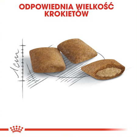 Royal Canin Ageing +12 Senior 2kg Karma Sucha Dla Kotów Dojrzałych Powyżej 12 Roku Życia