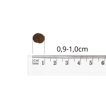 Baltica Adult Dziczyzna z Ryżem XS/S 3kg Hipoalergiczna Sucha Karma Dla Psów Miniaturowych i Małych Ras