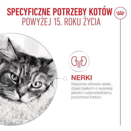 Royal Canin Ageing 15+ Karma Sucha 4kg Dla Kotów Dojrzałych Powyżej 15 Roku Życia