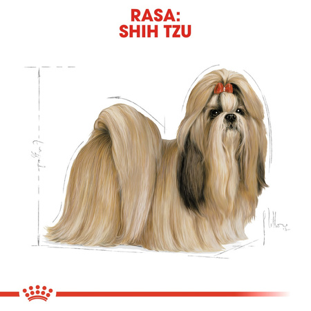 Royal Canin BHN Shih Tzu Adult 7,5kg Karma Sucha Dla Psów Dorosłych Rasy Shih Tzu