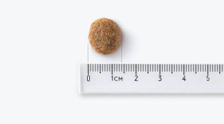 John Dog GOOD FORM ADULT Wieprzowina z Wołowiną 12kg Średnie i Duże Rasy - sucha karma dla psów